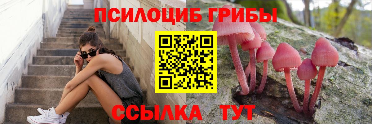 Псилоцибиновые грибы Psilocybe  Вход с VPN  наркошоп  Холмск  Галлюциногенные грибы GOLDEN TEACHER 